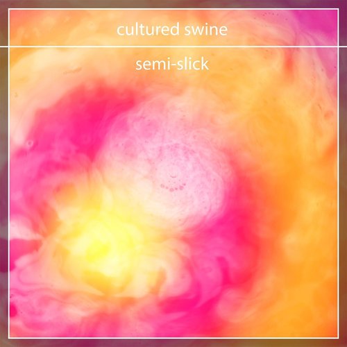 Skewer cover art