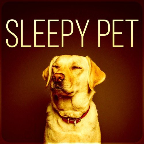 Sleepy Pet – Relaxing Music for Your Pet, Calm Your Anxious Dog, Nature Sounds for Relaxation, New Age Music for Puppy & Kitty, Music for Cats to Calm Down