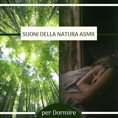 Meditazione Zen cover art