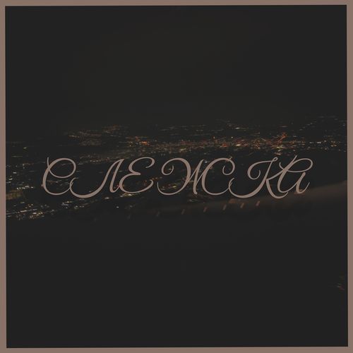 Слежка cover art