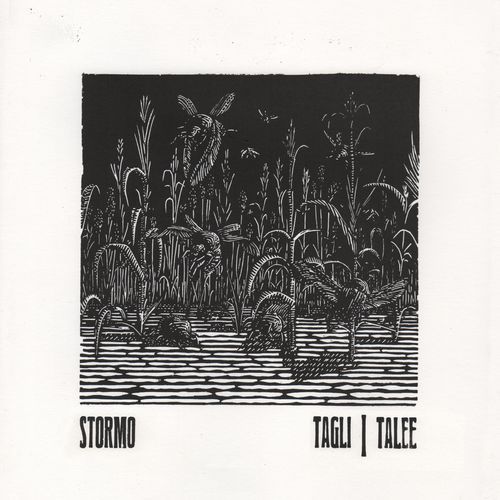 Rami cover art