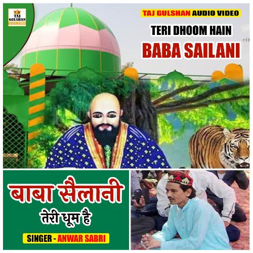 Teri Dhoom Hai Baba Sailani