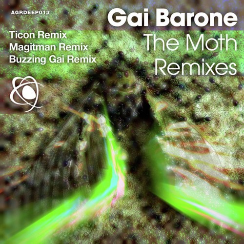 The Moth - Remixes