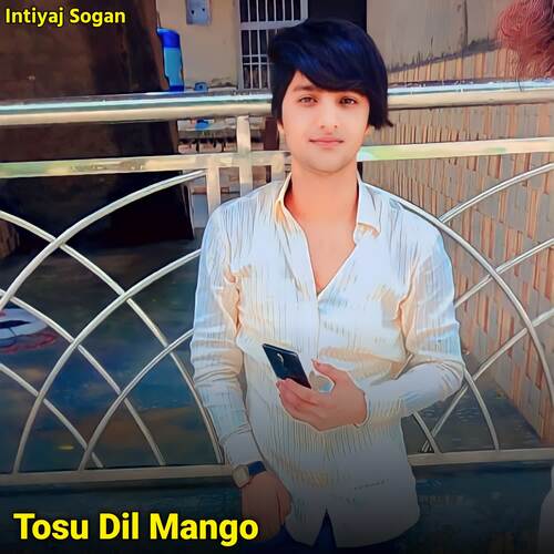 Tosu Dil Mango