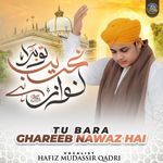 Tu Bara Ghareeb Nawaz Hai