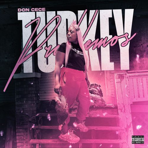 Turkey Problemos (dee No Dollars) cover art