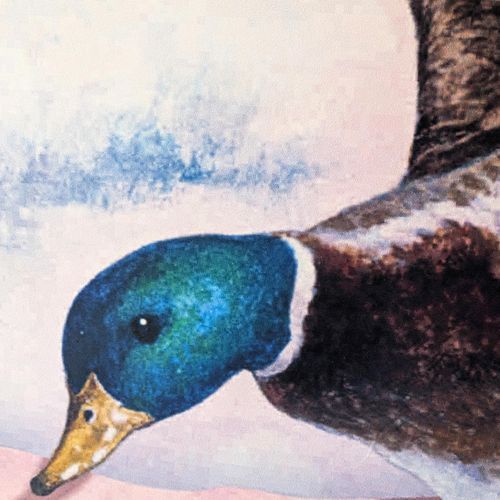 Univers Sonor (May 2025)