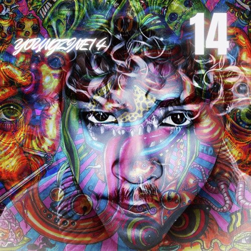 14 cover art
