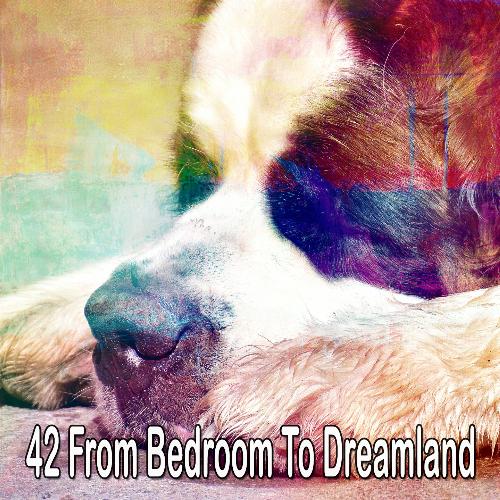 42 From Bedroom to Dreamland