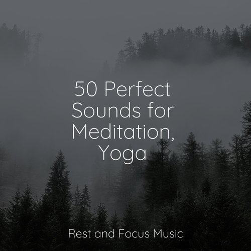 50 Perfect Sounds for Meditation, Yoga_poster_image