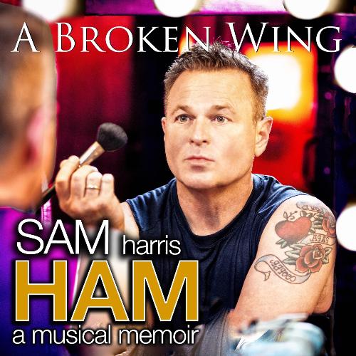 A Broken Wing