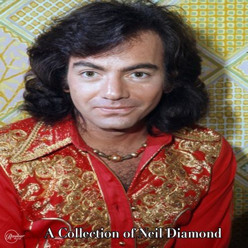 Sweet Caroline cover art