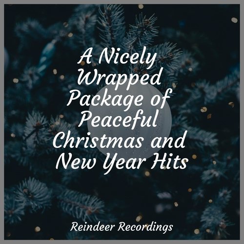 A Nicely Wrapped Package of Peaceful Christmas and New Year Hits_poster_image