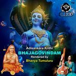 Adisankara Krithi BhajaGovindam