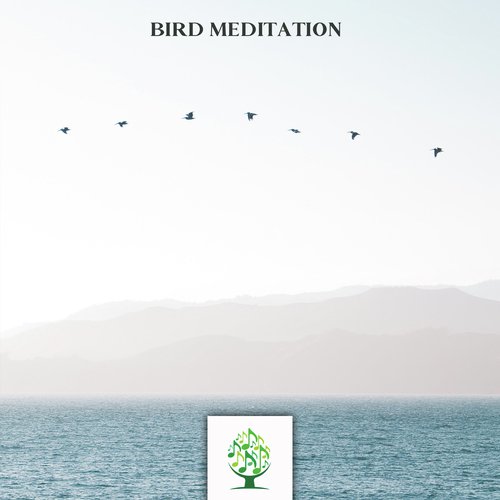 Bird Meditation_poster_image