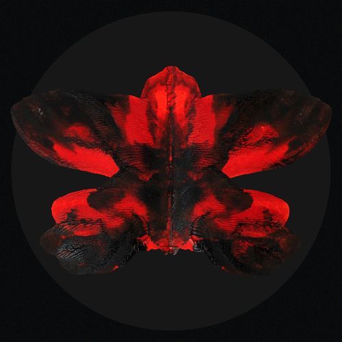 Butterfly Effect
