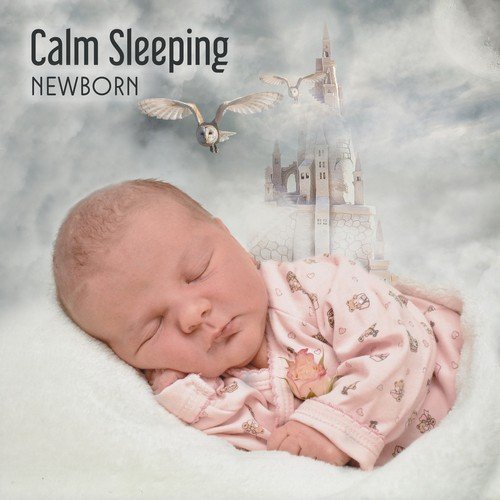 Calm Sleeping Newborn