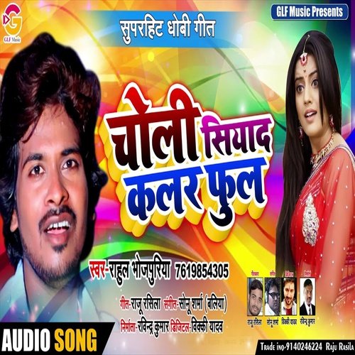 Choli Siyada Colour Full