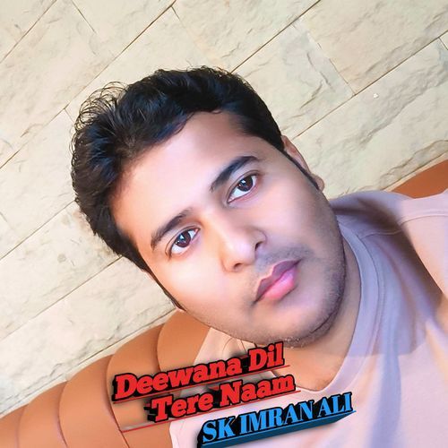 Deewana Dil Tere Naam cover art