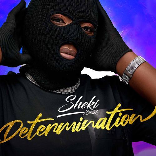 Determination 2 cover art