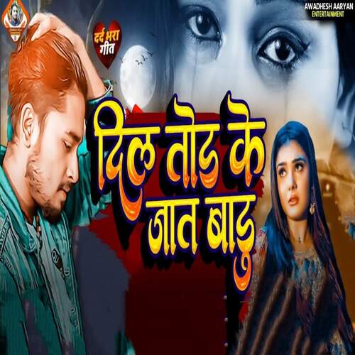 Dil Tod Ke Jat Badu