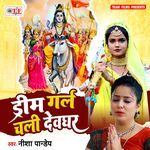 Bolu Re Patarki Palan