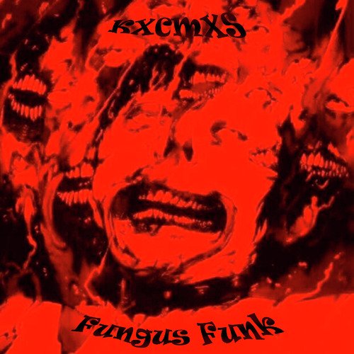 Fungus Funk cover art