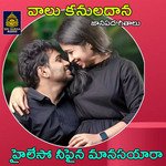 Ilesha Ne Painana (Valu Kanuladana)