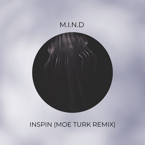 Inspin (Moe Turk Remix) cover art