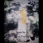 Jaane Na Tu (Reprise)