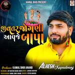 Jivatar Jogani Aavje Bapa
