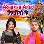 Mere Aangana Main Ped Niwariya Ke