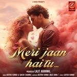 Meri Jaan Hai Tu
