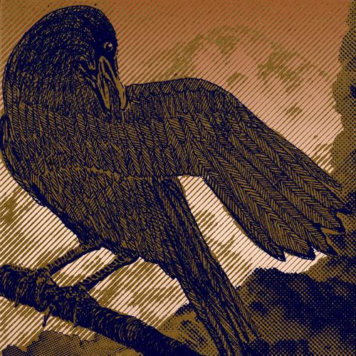 The Shade cover art