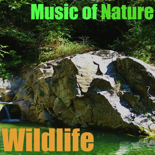 Music of Nature_poster_image