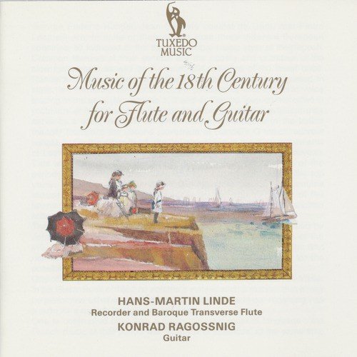 Sonata for Recorder and Guitar in A Minor, Op. 1 No. 1: II. Allegro