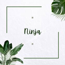 Ninja by Rahul