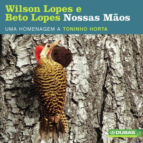 Nossas Mãos - Homenagem a Toninho Horta