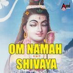 Om Namah Shivaya