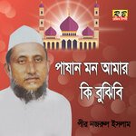 Pasan Mon Amar Ki Bojibi