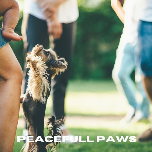 Peaceful Paws_poster_image