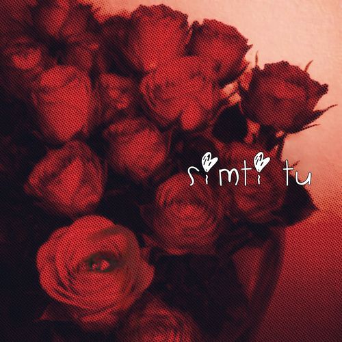 Simti Tu
