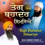 Tegh Bahadur Simariye