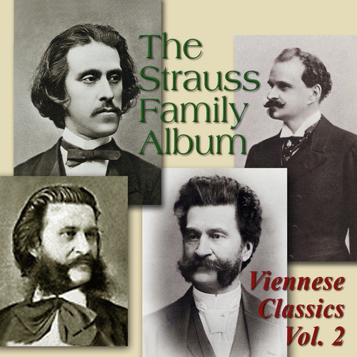 The Strauss Family Album: Viennese Classics, Vol. 2_poster_image