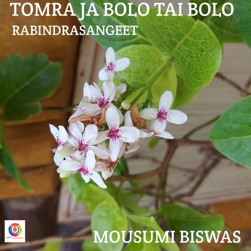 Tomra Ja Bolo Tai Bolo