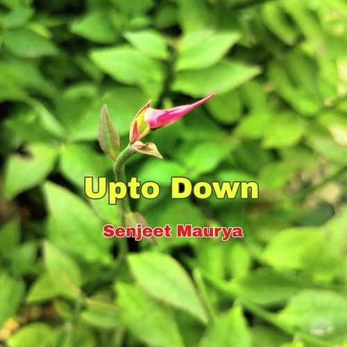 Upto Down