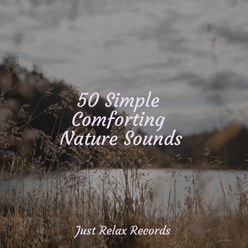 50 Simple Comforting Nature Sounds