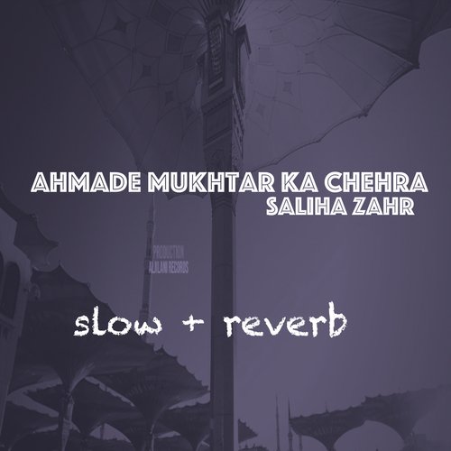 Ahmade Mukhtar Ka Chehra cover art
