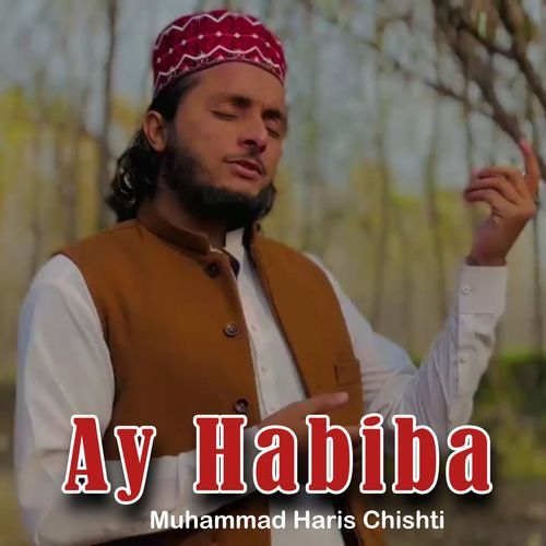 Ay Habiba