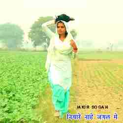 नियारे नाहै जंगल मैं